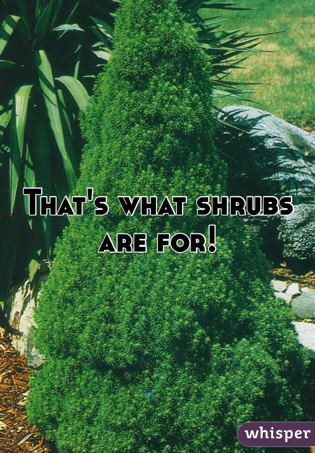 That's what shrubs are for!
