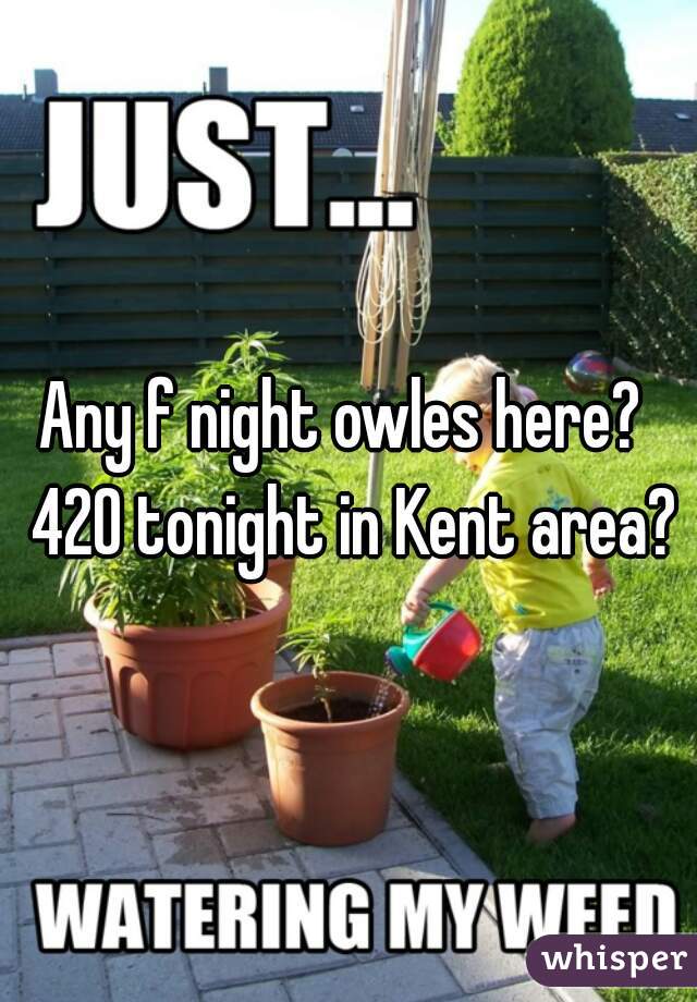 Any f night owles here?  420 tonight in Kent area?