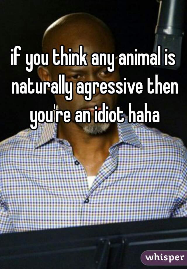 if you think any animal is naturally agressive then you're an idiot haha