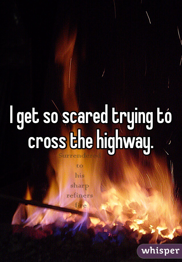 I get so scared trying to cross the highway. 