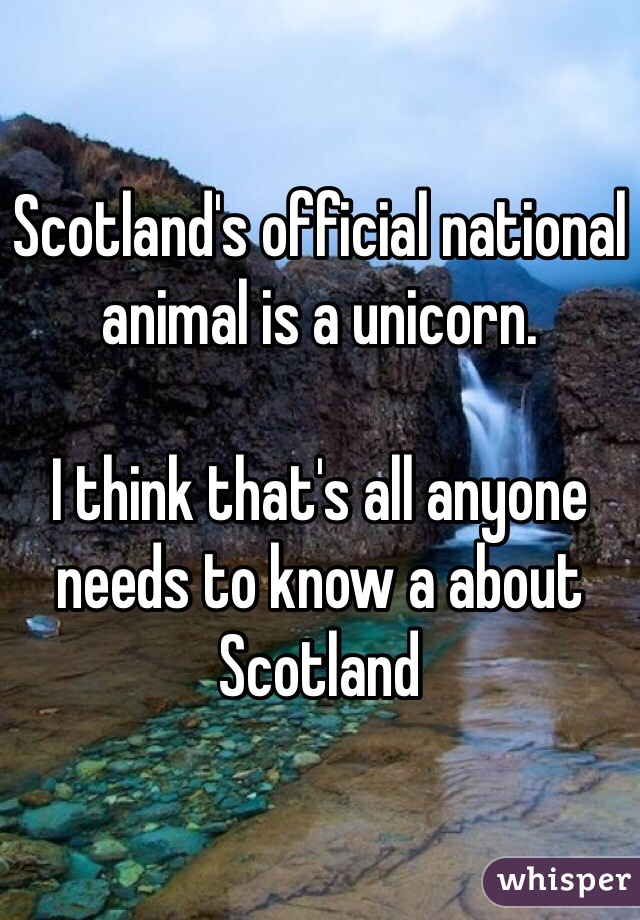 Scotland's official national animal is a unicorn. 

I think that's all anyone needs to know a about Scotland 