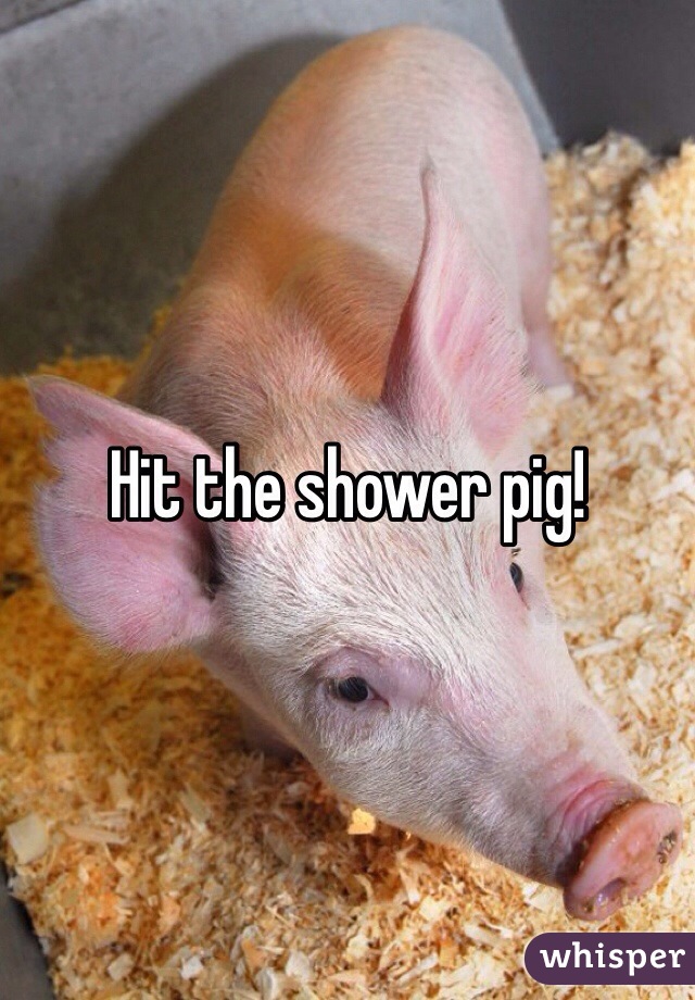 Hit the shower pig!
