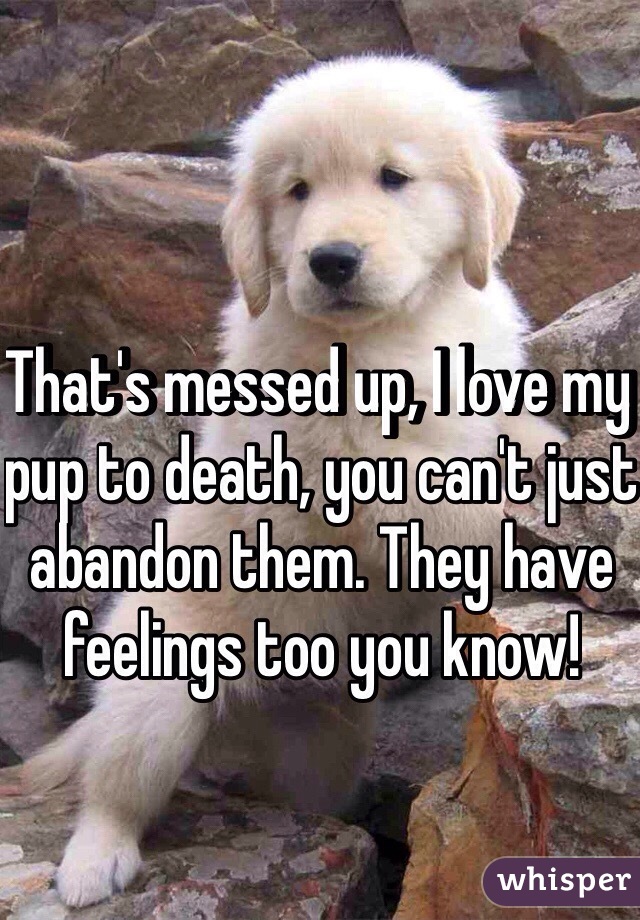 That's messed up, I love my pup to death, you can't just abandon them. They have feelings too you know!