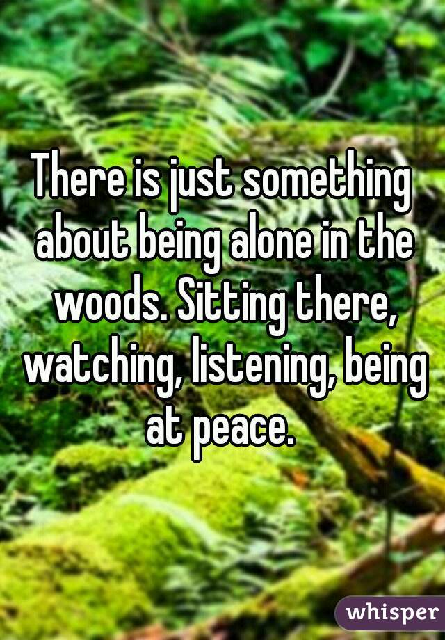 There is just something about being alone in the woods. Sitting there, watching, listening, being at peace. 