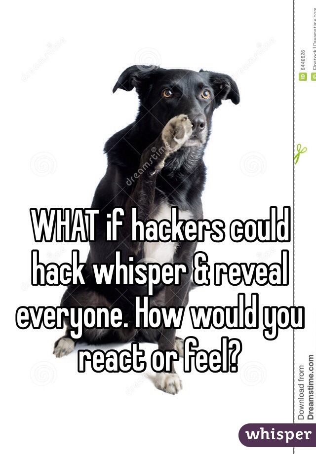 WHAT if hackers could hack whisper & reveal everyone. How would you react or feel? 