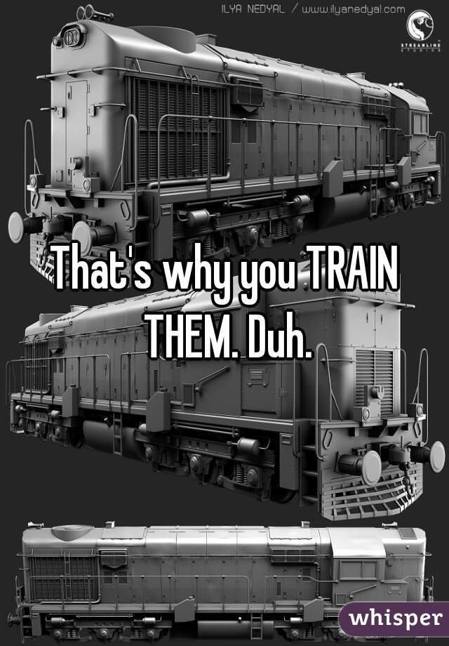That's why you TRAIN THEM. Duh.