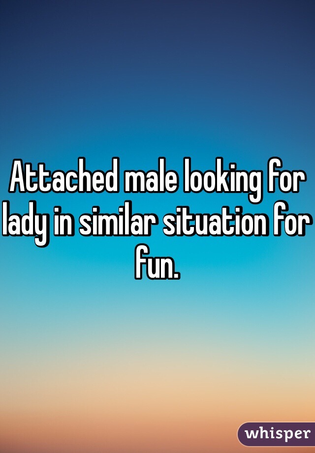 Attached male looking for lady in similar situation for fun.