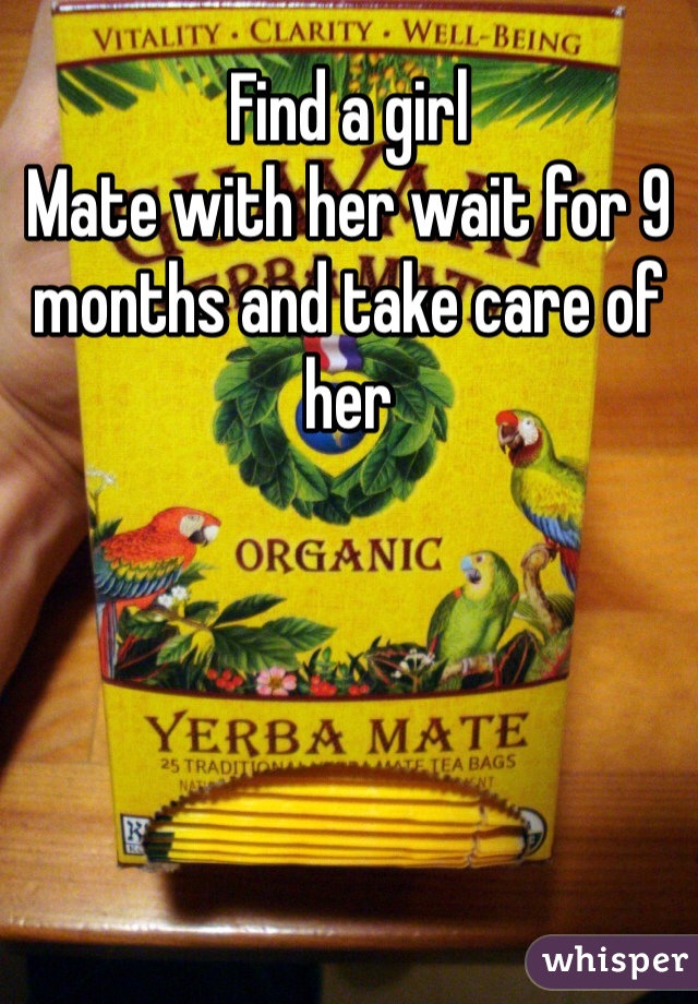 Find a girl 
Mate with her wait for 9 months and take care of her 