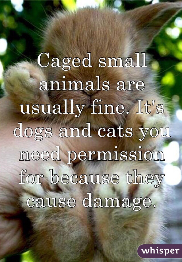 Caged small animals are usually fine. It's dogs and cats you need permission for because they cause damage.
