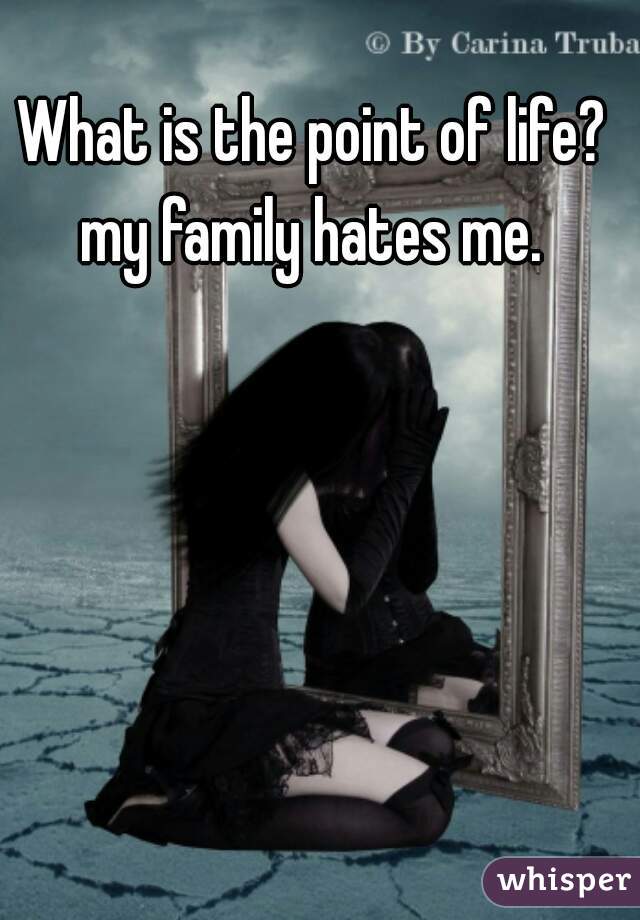What is the point of life?
my family hates me.