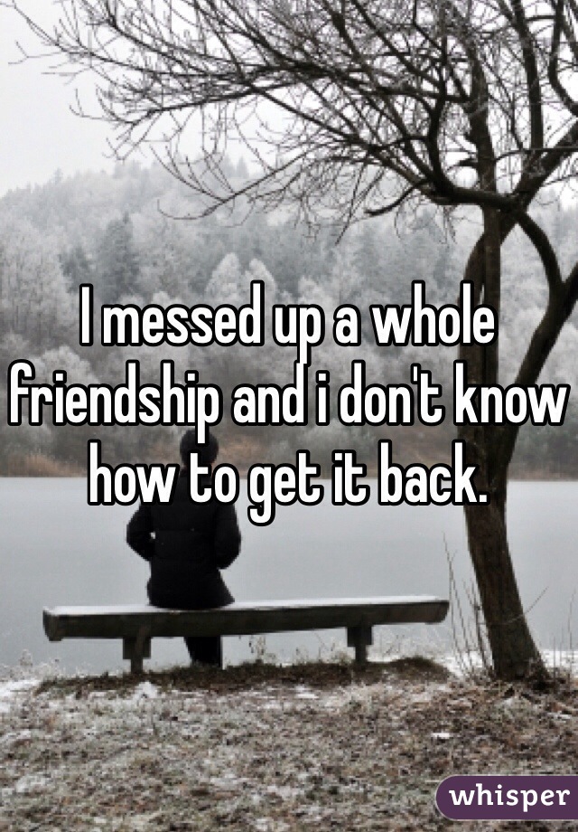 I messed up a whole friendship and i don't know how to get it back. 