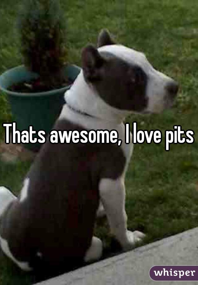 Thats awesome, I love pits