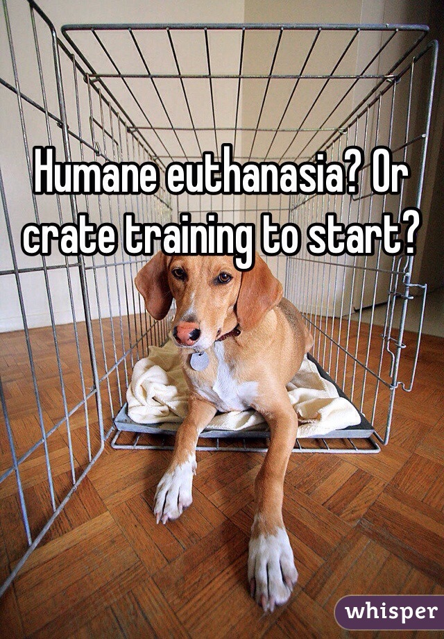 Humane euthanasia? Or crate training to start? 