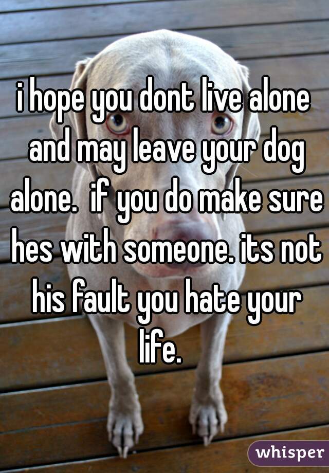 i hope you dont live alone and may leave your dog alone.  if you do make sure hes with someone. its not his fault you hate your life.  