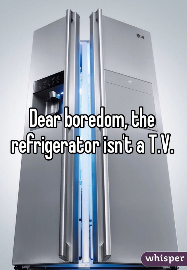 Dear boredom, the refrigerator isn't a T.V.