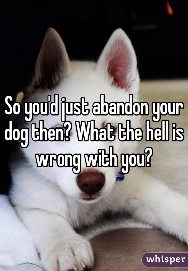 So you'd just abandon your dog then? What the hell is wrong with you?