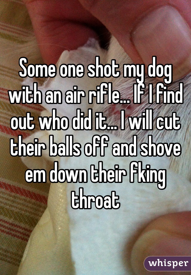 Some one shot my dog with an air rifle... If I find out who did it... I will cut their balls off and shove em down their fking throat