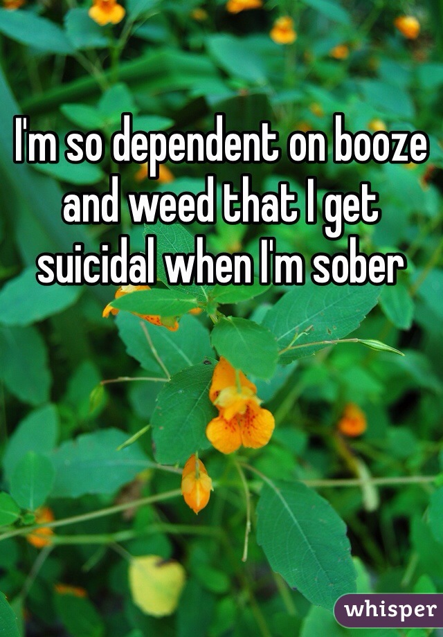I'm so dependent on booze and weed that I get suicidal when I'm sober 