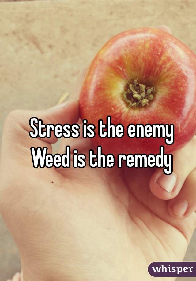 Stress is the enemy



Weed is the remedy