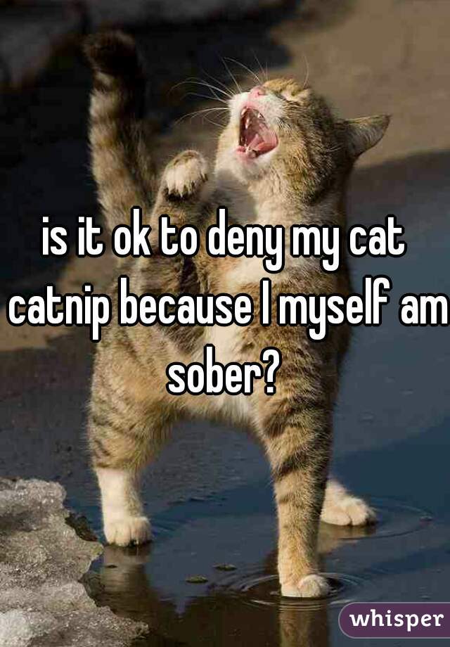 is it ok to deny my cat catnip because I myself am sober? 