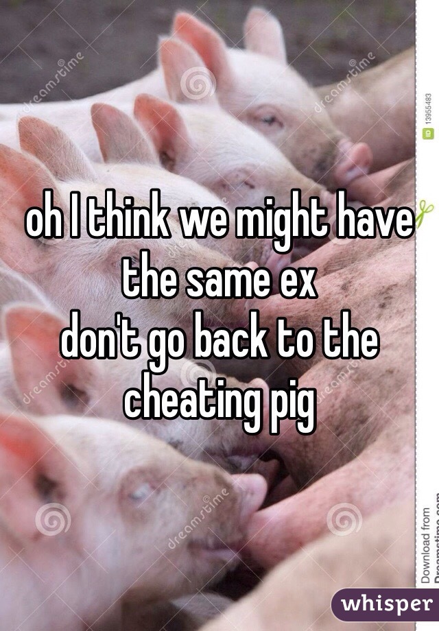 oh I think we might have the same ex
don't go back to the cheating pig 