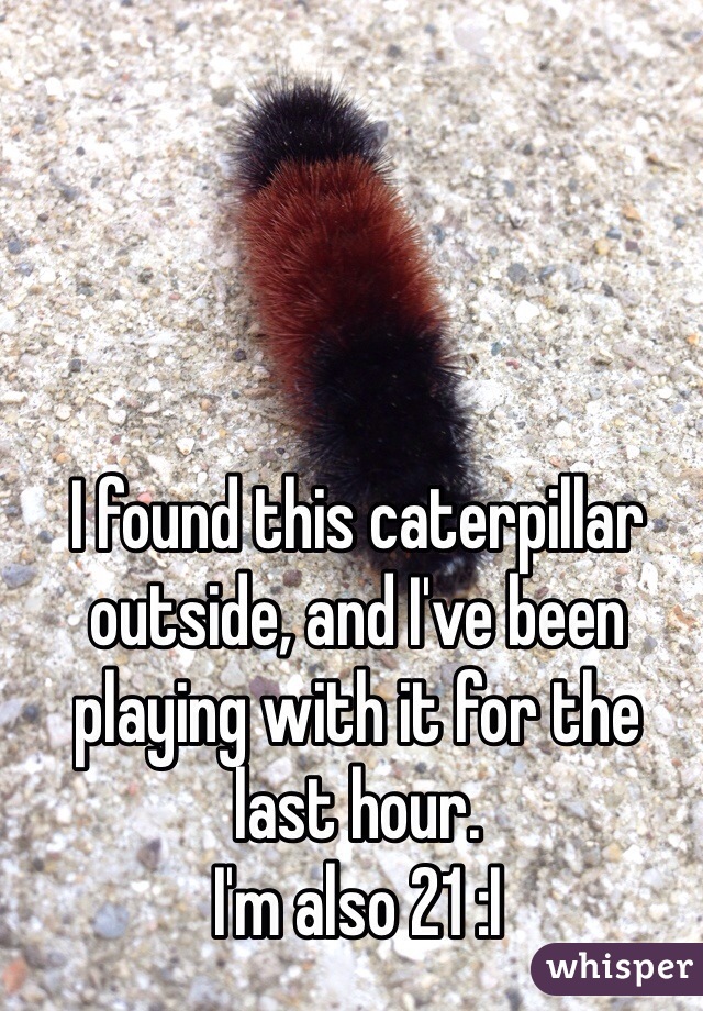 I found this caterpillar outside, and I've been playing with it for the last hour.  
I'm also 21 :I