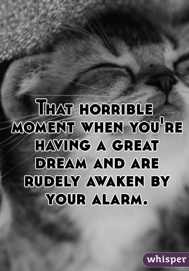 That horrible moment when you're having a great dream and are rudely awaken by your alarm.