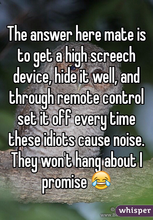 The answer here mate is to get a high screech device, hide it well, and through remote control set it off every time these idiots cause noise. They won't hang about I promise 😂