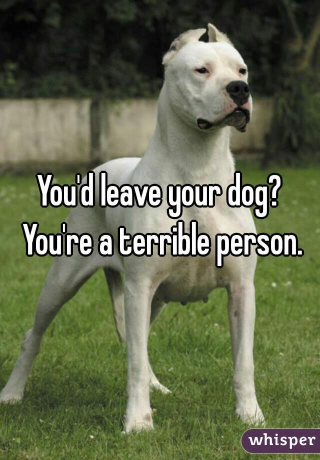 You'd leave your dog? You're a terrible person.