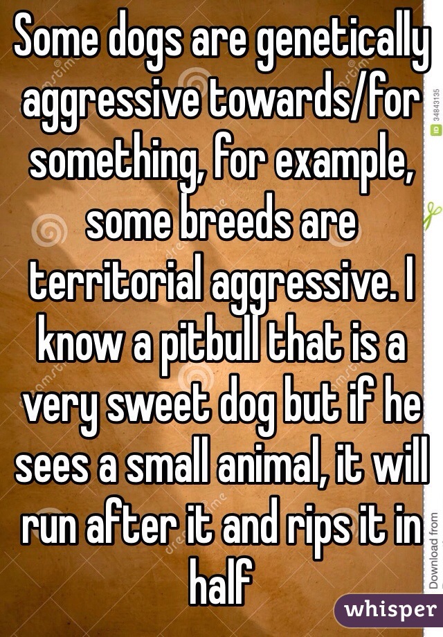 Some dogs are genetically aggressive towards/for something, for example, some breeds are territorial aggressive. I know a pitbull that is a very sweet dog but if he sees a small animal, it will run after it and rips it in half