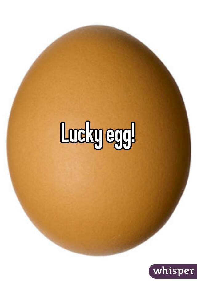 Lucky egg!