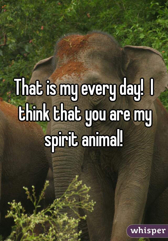 That is my every day!  I think that you are my spirit animal! 