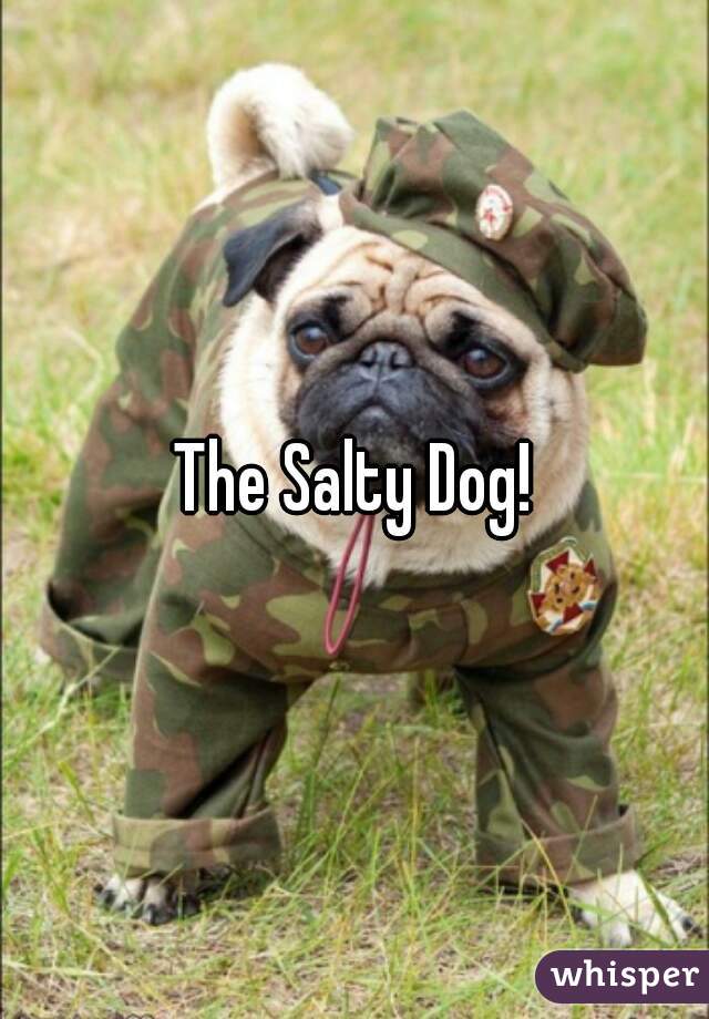 The Salty Dog!