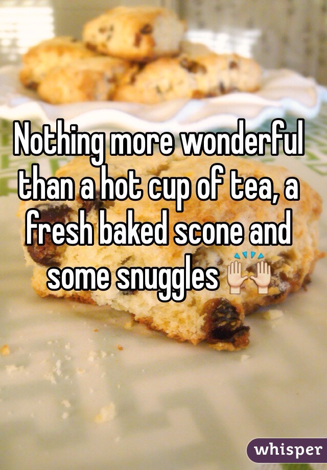 Nothing more wonderful than a hot cup of tea, a fresh baked scone and some snuggles 🙌