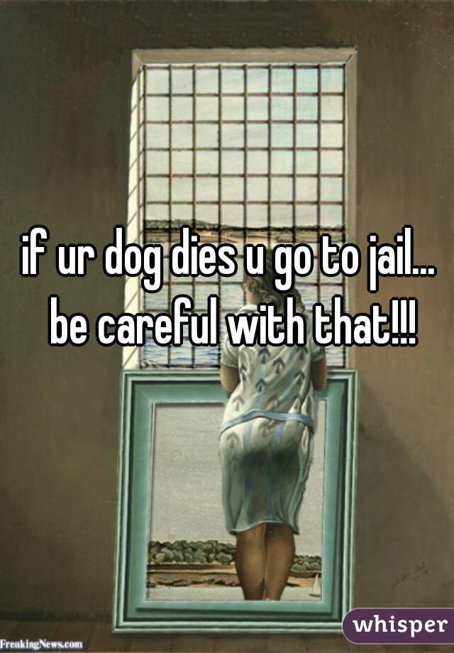 if ur dog dies u go to jail... be careful with that!!!