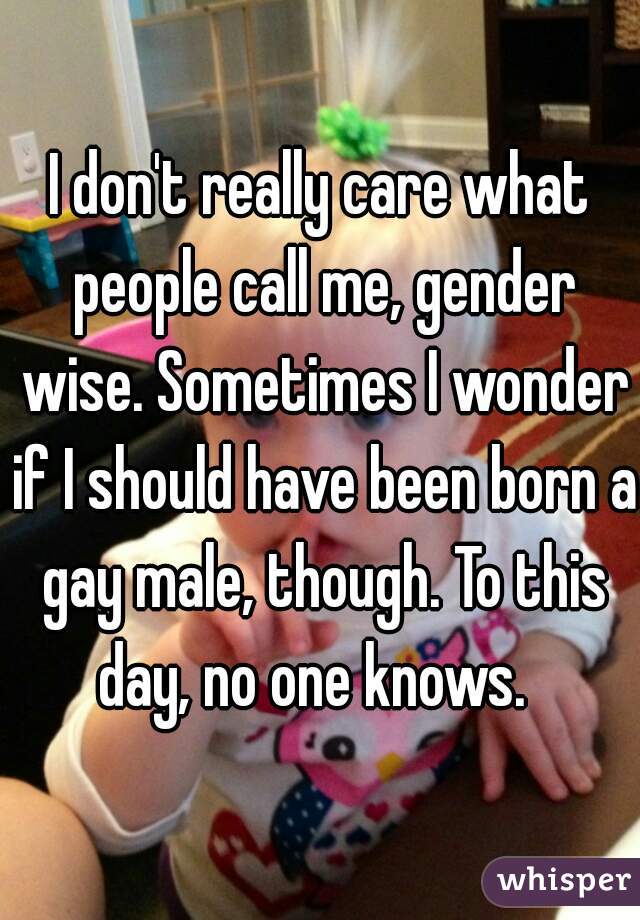 I don't really care what people call me, gender wise. Sometimes I wonder if I should have been born a gay male, though. To this day, no one knows.  