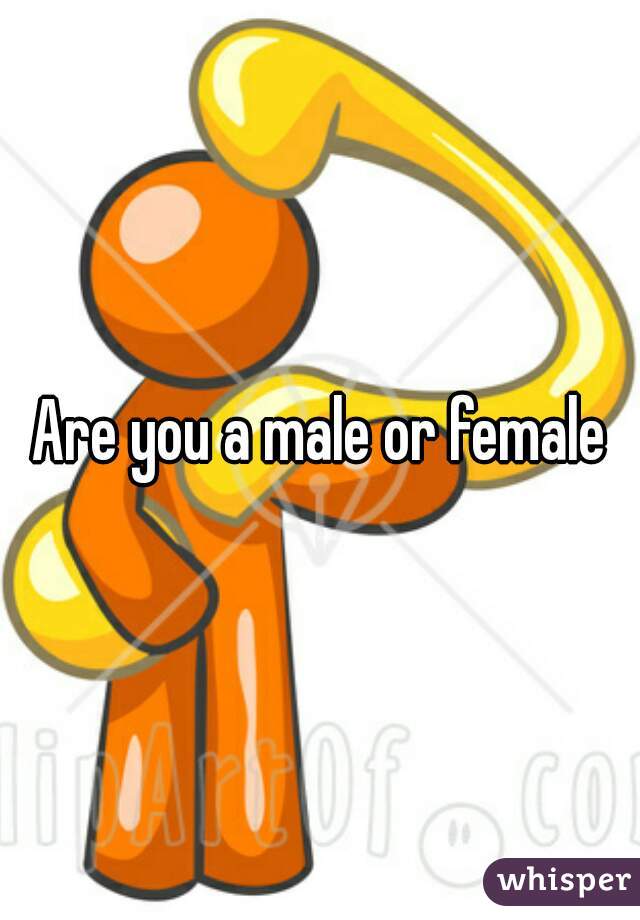 Are you a male or female