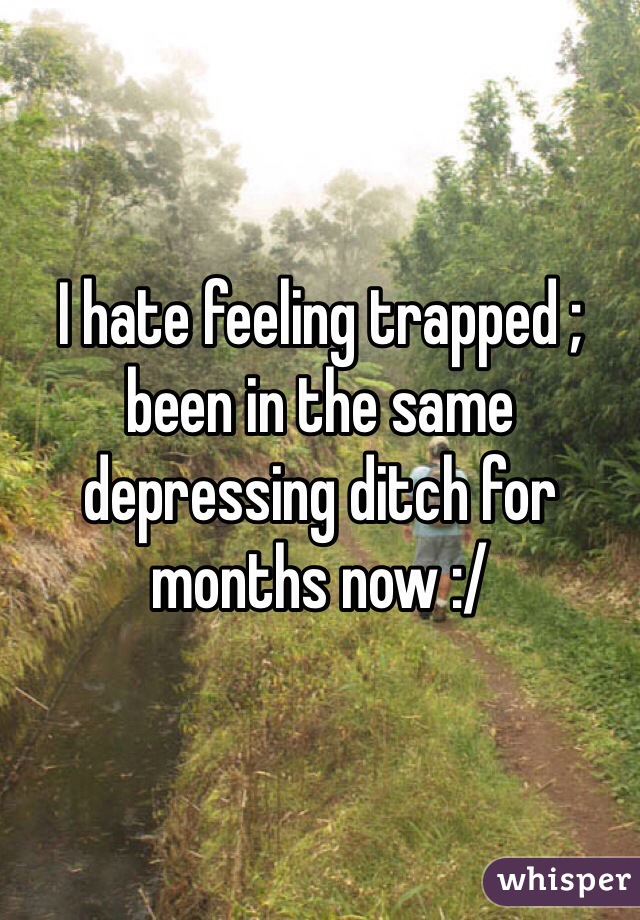 I hate feeling trapped ; been in the same depressing ditch for months now :/