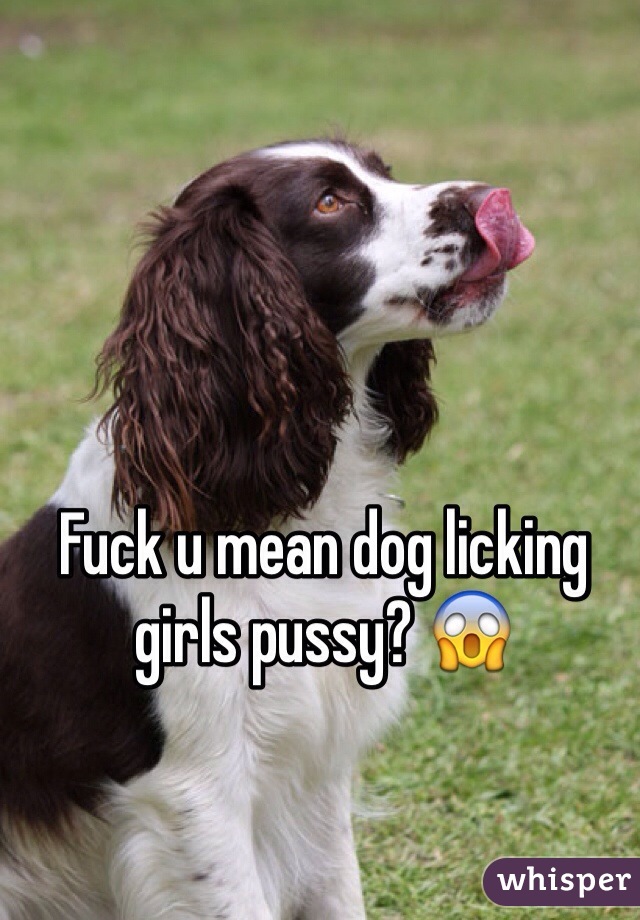 Fuck u mean dog licking girls pussy? 😱
