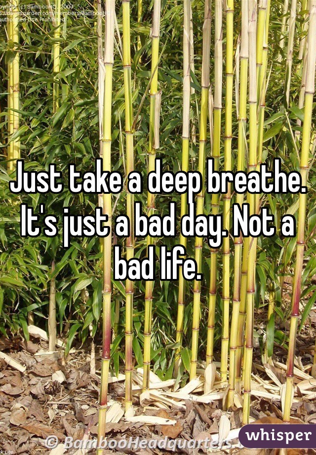 Just take a deep breathe. It's just a bad day. Not a bad life.