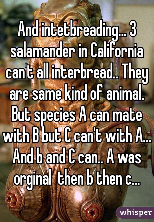 And intetbreading... 3 salamander in California can't all interbread.. They are same kind of animal. But species A can mate with B but C can't with A... And b and C can.. A was orginal  then b then c... 