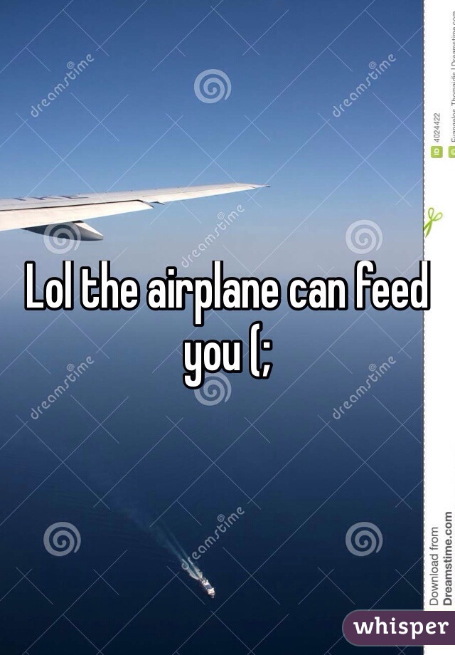 Lol the airplane can feed you (;
