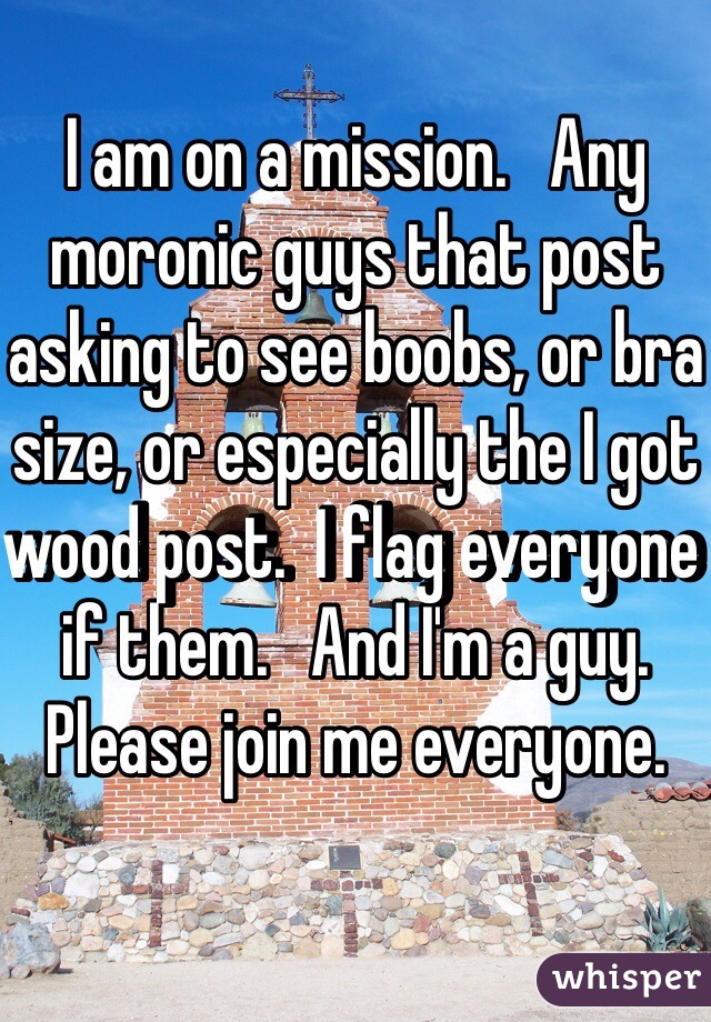 I am on a mission.   Any moronic guys that post asking to see boobs, or bra size, or especially the I got wood post.  I flag everyone if them.   And I'm a guy.   Please join me everyone. 