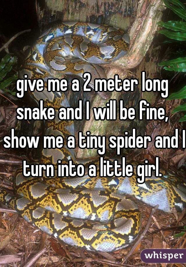 give me a 2 meter long snake and I will be fine,  show me a tiny spider and I turn into a little girl. 