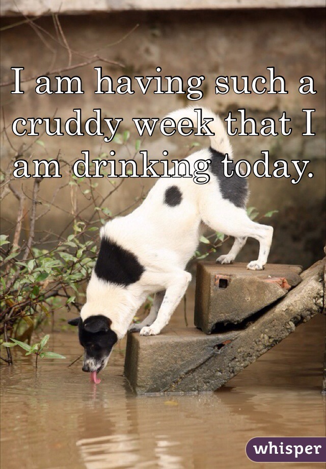 I am having such a cruddy week that I am drinking today. 