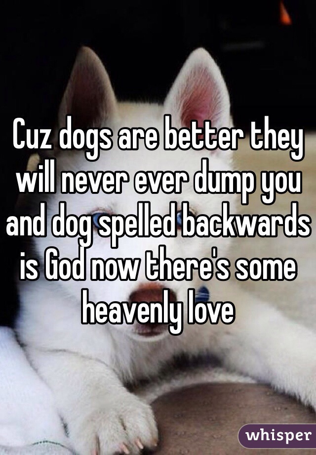 Cuz dogs are better they will never ever dump you and dog spelled backwards is God now there's some heavenly love
