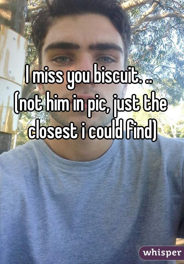 I miss you biscuit. .. 
(not him in pic, just the closest i could find)