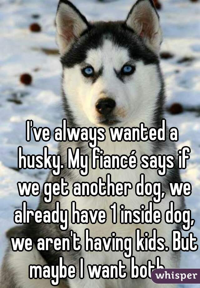 I've always wanted a husky. My fiancé says if we get another dog, we already have 1 inside dog, we aren't having kids. But maybe I want both... 