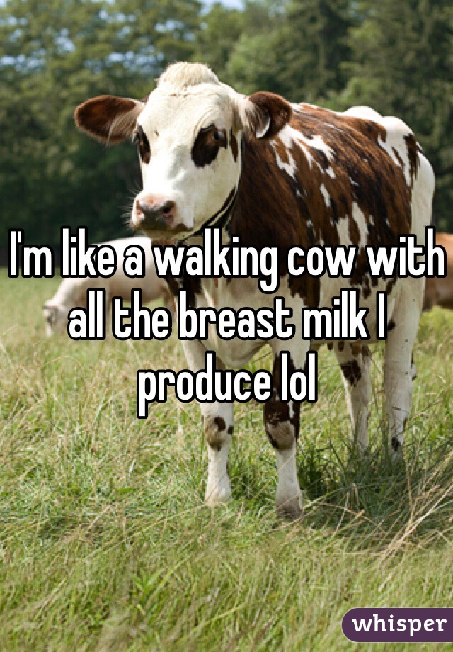 I'm like a walking cow with all the breast milk I produce lol