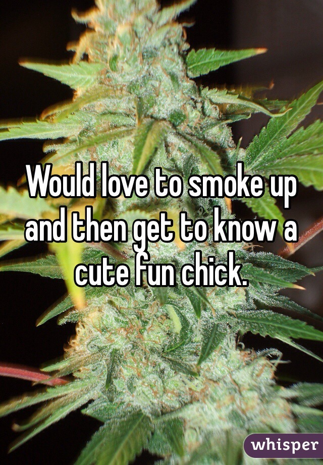 Would love to smoke up and then get to know a cute fun chick. 